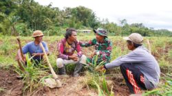 Disela Kesibukan, Satgas TMMD KE-127 Kodim 0808/Blitar Jalin Keakraban Bersama Petani Di Desa Krisik