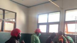 Pemkab Puncak Sebut Serangan Warga di Sinak Dilakukan KKB, Bantah Keterlibatan Aparat