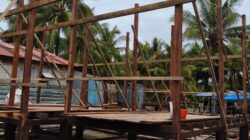 TMMD Ke-128 Kodim 1710/Mimika Gunakan Kayu Besi Berkualitas untuk Bangun Rumah Layak Huni di Kampung Keakwa
