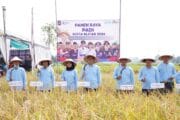 Sinergi Muspida Kota Blitar dalam Panen Raya, Wujudkan Kemandirian Pangan Daerah