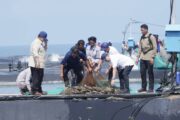 Panglima TNI Dampingi Presiden RI Prabowo Subianto Panen Raya Udang di Kebumen