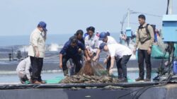 Panglima TNI Dampingi Presiden RI Prabowo Subianto Panen Raya Udang di Kebumen