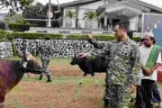Wapang TNI Dampingi Menhan RI Shalat Idul Adha Bersama Prajurit dan Masyarakat di Papua Barat