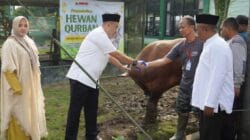 Semangat Berbagi di Idul Adha, Kodim Bojonegoro Salurkan Daging Kurban