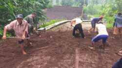 Wujud Sinergitas, Babinsa Banjarsari Bersama Warga Gotong Royong Lebarkan Jalan Desa