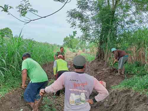 Babinsa Karang Gondang Bersama Warga Gotong Royong Bersihkan Jalan Akses Lahan Pertanian