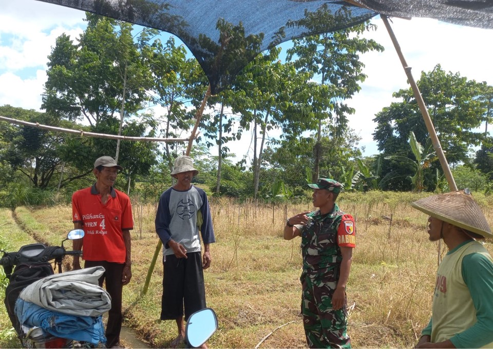 Dukung Ketahanan Pangan, Babinsa Kaweron Bersama Poktan Ngudibogo III Rencanakan Kerja Bakti Irigasi