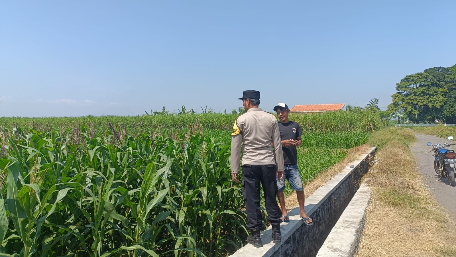 Polsek Kademangan Turun Gunung, Pastikan Ketahanan Pangan Tetap Terjaga Polsek Kademangan Turun Gunung, Pastikan Ketahanan Pangan Tetap Terjaga