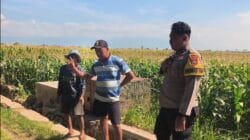 Polisi Turun ke Lahan Jagung di Ketapang, Perkuat Ketahanan Pangan Nasional