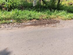 Jalan Kuripan–Sumber Kembali Berlubang, Evaluasi Pekerjaan Diminta