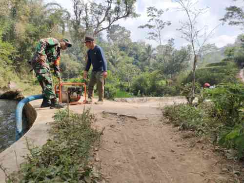 Antisipasi Kekeringan, Babinsa Sidomulyo Sertu Krida Dwi Bantu Pengairan Sawah Gunakan Pompa Air Antisipasi Kekeringan, Babinsa Sidomulyo Sertu Krida Dwi Bantu Pengairan Sawah Gunakan Pompa Air
