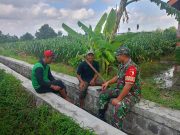 Serap Aspirasi Petani, Sertu Yudhi Rimba Gelar Komsos Ketahanan Pangan Bersama Poktan Kembang Kuning