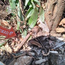 Ledakan Diduga Peluru Mortir di Bandung Barat, Korban Luka Berat Dirujuk ke RSHS