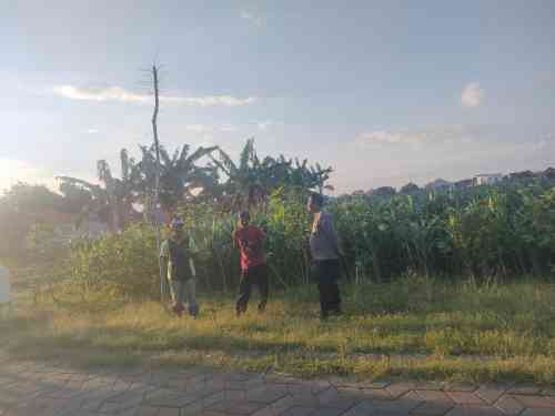Polri Hadir di Tengah Petani, Polsubsektor Kanigaran Perkuat Sinergi Ketahanan Pangan Polri Hadir di Tengah Petani, Polsubsektor Kanigaran Perkuat Sinergi Ketahanan Pangan