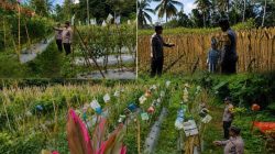 Bhabinkamtibmas Polsek Randuagung Turun ke Ladang, Perkuat Sinergi Petani Dukung Ketahanan Pangan Nasional