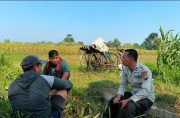 Polsek Wonoasih Perkuat Ketahanan Pangan Nasional, Binmas Serap Aspirasi Petani di Pakistaji