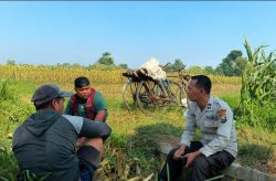 Polsek Wonoasih Perkuat Ketahanan Pangan Nasional, Binmas Serap Aspirasi Petani di Pakistaji