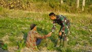 Menyapa dengan Hati di Tengah Ladang: Satgas TMMD 129 Bojonegoro Rajut Kemanunggalan TNI dan Rakyat