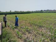 Kapolsek Tongas Tegaskan Komitmen Dampingi Petani Wujudkan Ketahanan Pangan