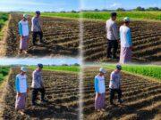 Polri Kawal Ketahanan Pangan, Lahan Jagung 4.000 Meter Persegi di Kedopok Dipantau Intensif
