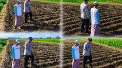 Polri Kawal Ketahanan Pangan, Lahan Jagung 4.000 Meter Persegi di Kedopok Dipantau Intensif