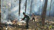 Tanggap Pancaroba, Babinsa Koramil Sutojayan Bersama Warga Padamkan Karhutla Di Gunung Sumber