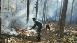 Tanggap Pancaroba, Babinsa Koramil Sutojayan Bersama Warga Padamkan Karhutla Di Gunung Sumber