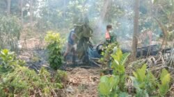 Aksi Cepat Babinsa Posramil Selopuro Bersama Warga Padamkan Kebakaran Lahan Bambu Di Blitar