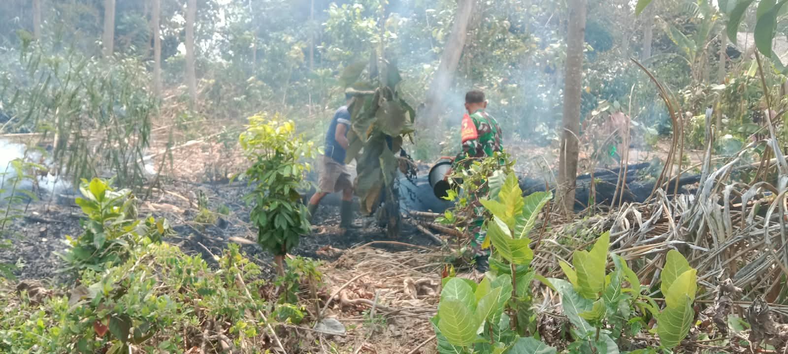 Aksi Cepat Babinsa Posramil Selopuro Bersama Warga Padamkan Kebakaran Lahan Bambu Di Blitar