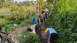 Dukung Ketahanan Pangan, Serda Nurhatib Dampingi Poktan Margo Rukun III Bersihkan Irigasi Sawah