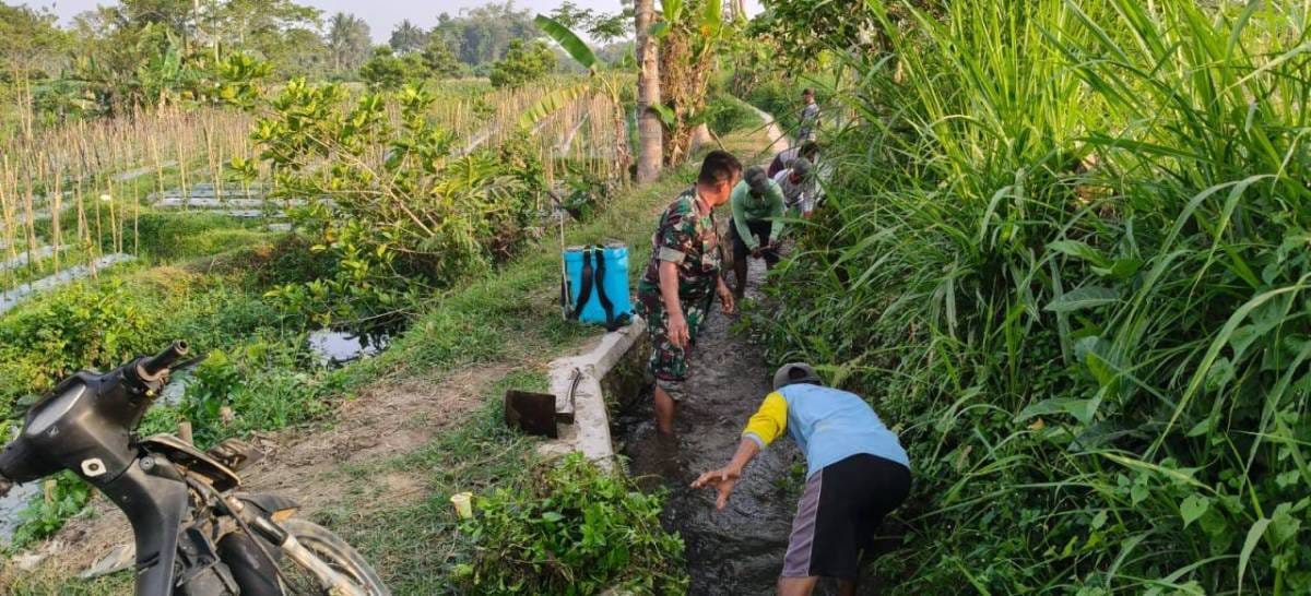 Dukung Ketahanan Pangan, Serda Nurhatib Dampingi Poktan Margo Rukun III Bersihkan Irigasi Sawah Dukung Ketahanan Pangan, Serda Nurhatib Dampingi Poktan Margo Rukun III Bersihkan Irigasi Sawah