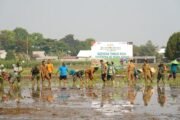 Dukung Swasembada Pangan, Koramil 12/Wlingi dan Poktan Abadi Gelar Tanam Padi Serentak Merdeka