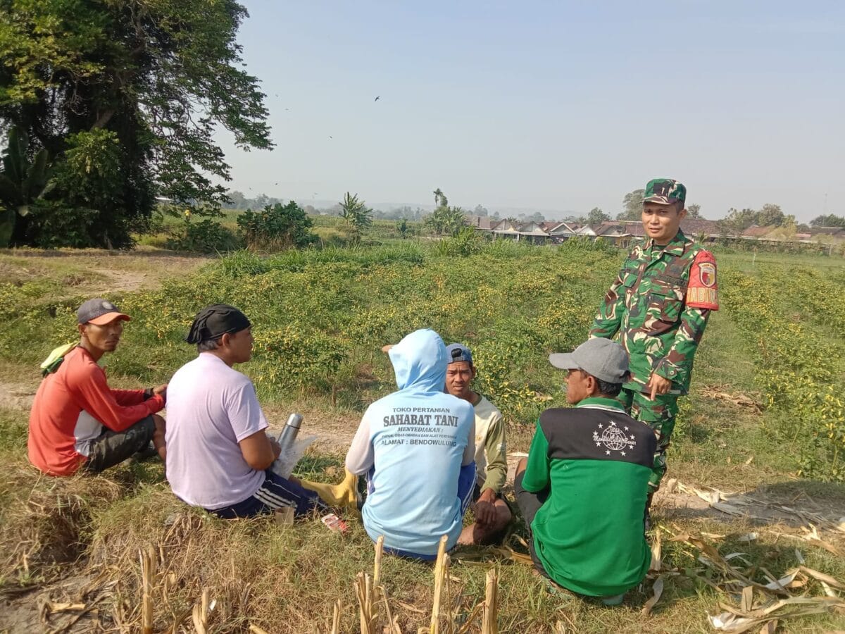 Perkuat Swasembada Pangan, Serda Fiyan Setyadi Gelar Komsos Bersama Poktan Sumber Makmur Perkuat Swasembada Pangan, Serda Fiyan Setyadi Gelar Komsos Bersama Poktan Sumber Makmur