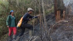 Penutupan Total Pendakian Gunung Semeru Setelah Kebakaran Hutan