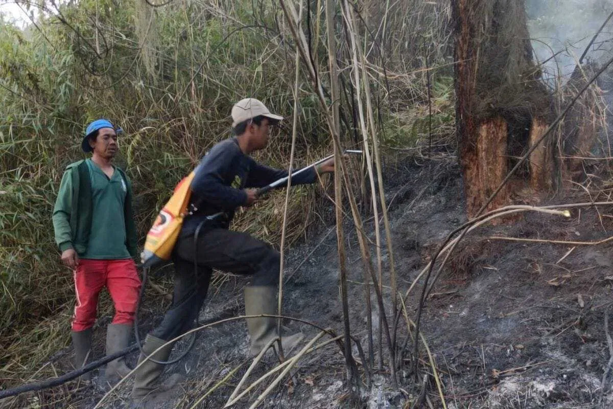 Penutupan Total Pendakian Gunung Semeru Setelah Kebakaran Hutan