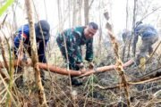 Api Belum Usai Perjuangan Berlanjut, Satgas Irigasi Lanud Sjamsudin Noor Terus Perkuat Upaya Padamkan Karhutla Kalsel Optimalkan Air Hingga Dinginkan Lahan Gambut