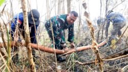 Api Belum Usai Perjuangan Berlanjut, Satgas Irigasi Lanud Sjamsudin Noor Terus Perkuat Upaya Padamkan Karhutla Kalsel Optimalkan Air Hingga Dinginkan Lahan Gambut