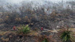 Perjuangan Manggala Agni dalam Memadamkan Kebakaran Hutan Perjuangan Manggala Agni dalam Memadamkan Kebakaran Hutan