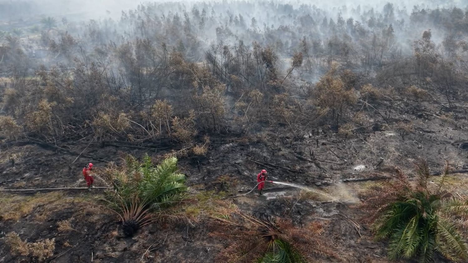 Perjuangan Manggala Agni dalam Memadamkan Kebakaran Hutan