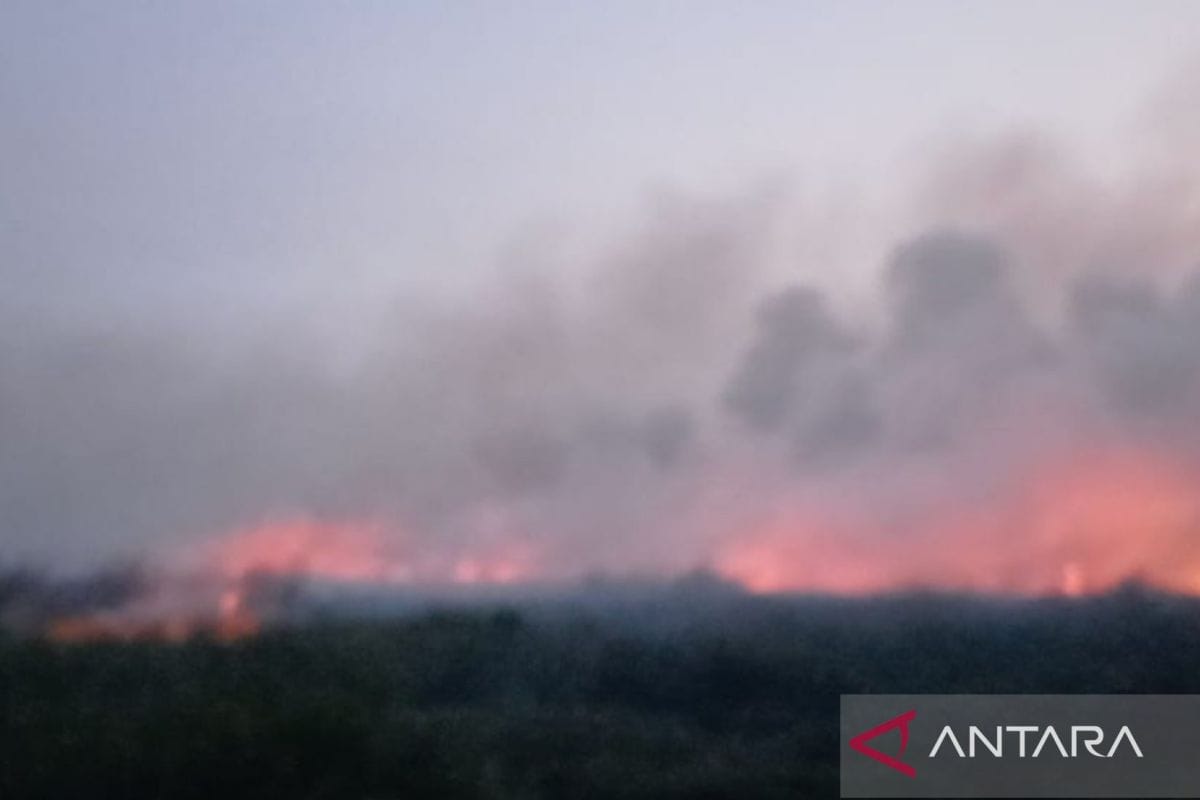 Strategi Pemadaman Kebakaran di Kawasan TNBS Jambi Strategi Pemadaman Kebakaran di Kawasan TNBS Jambi