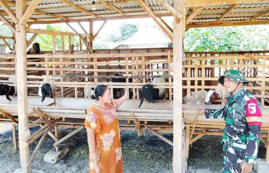 TMMD 129 Bojonegoro: Babinsa Kesongo 'Sentuh Hati' Peternak Kambing