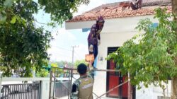 Atap Kokoh, Warna Baru: Sinergi Satgas TMMD 129 Bojonegoro dan Warga Sulap SDN Kesongo 1 Jadi Rumah Belajar Nyaman
