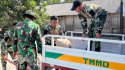 H-Minus 5 Penutupan TMMD 129 Bojonegoro: Satgas Kebut Penyelesaian Rumah Pak Kardo di Tengah Medan Sulit H-Minus 5 Penutupan TMMD 129 Bojonegoro: Satgas Kebut Penyelesaian Rumah Pak Kardo di Tengah Medan Sulit