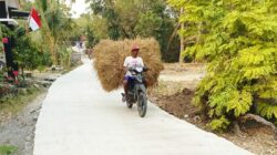Jalan Baru, Harapan Baru: Asa Petani Dusun Mundu Mengangkut Rezeki Lewat TMMD 129 Bojonegoro
