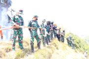 Dandim 0820/Probolinggo Letkol Inf Ribut Yodo Apriantono Pimpin Langsung Pemadaman Karhutla Di Area Gunung Bromo