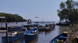 Koramil Sumberasih Kawal dan Amankan Gelaran Tradisi Petik Laut Desa Gili Ketapang