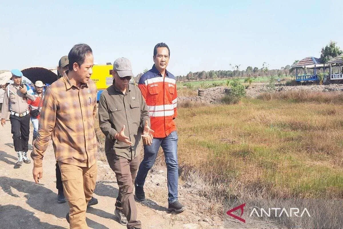 Pendapat Wamenko Pangan Terkait Perbaikan Tata Ruang Untuk Pencegahan Karhutla