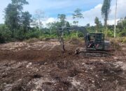 TMMD Ke-129 Tuntaskan Pembukaan Lahan 1 Hektar, Siap Ditanami untuk Perkuat Ketahanan Pangan Kampung Sesor