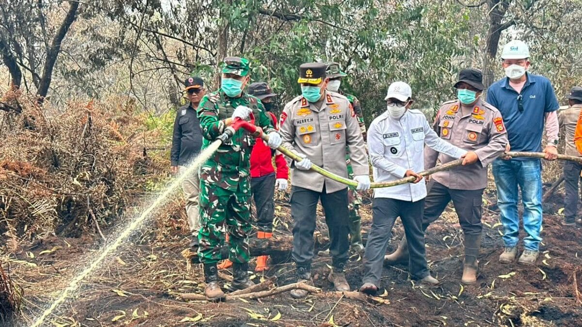 TNI Siagakan 66.510 Personel Tangani Karhutla di Seluruh Indonesia TNI Siagakan 66.510 Personel Tangani Karhutla di Seluruh Indonesia