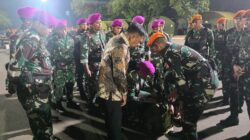 TNI Kerahkan Satgas Khusus Percepat Penanganan Karhutla di Riau